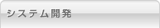 システム開発